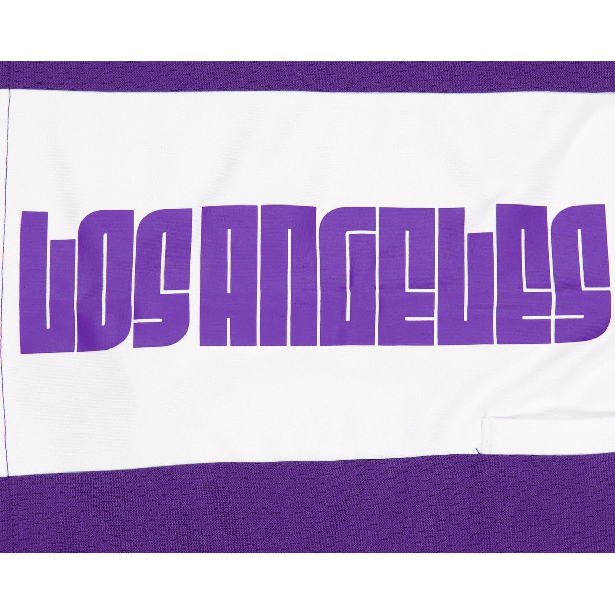 Los Angeles Lakers Purple Graphic Mesh Shorts