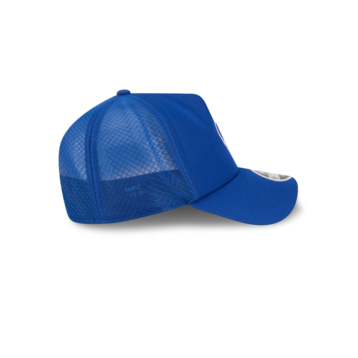 Chicago Cubs 2026 Batting Practice Alt Bear 9FORTY APEX Trucker Hat